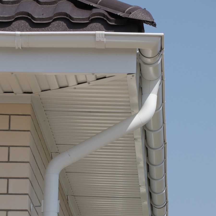 IMG_0022_1